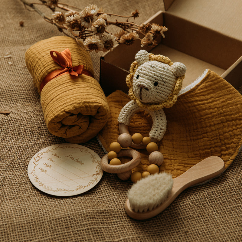 Newborn Baby Gift Hamper  |  Lion